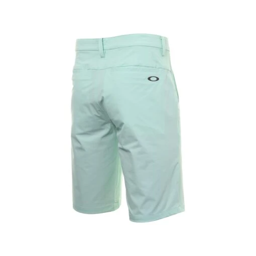 Oakley Take Pro Lite Golf Shorts -Comfortable Sportswear Oakley Take Pro Lite Golf Shorts 403098 7TA 2 scaled
