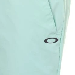 Oakley Take Pro Lite Golf Shorts -Comfortable Sportswear Oakley Take Pro Lite Golf Shorts 403098 7TA 3 scaled